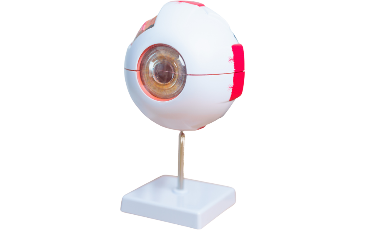Eye-Ear-Funding-Image